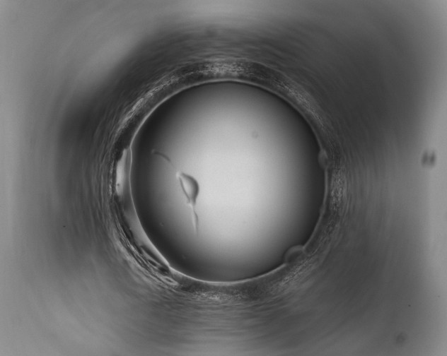 X0000112040722200908031516