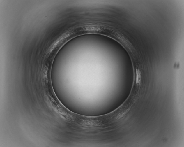 X0000112040723200908031516