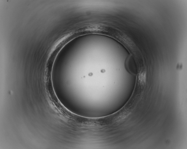 X0000112040724200908031516