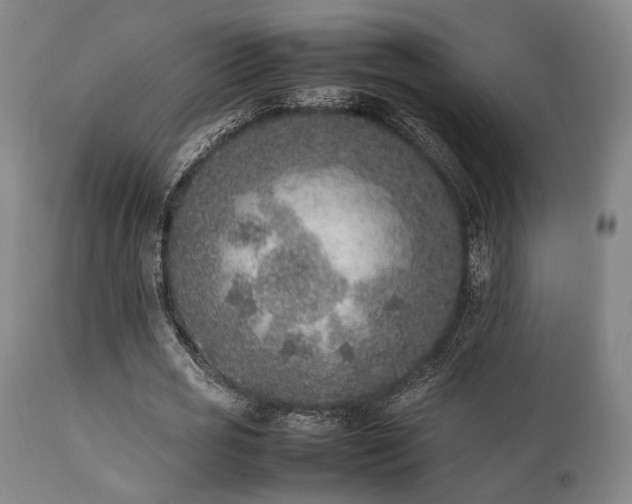 X0000112040725200908031516