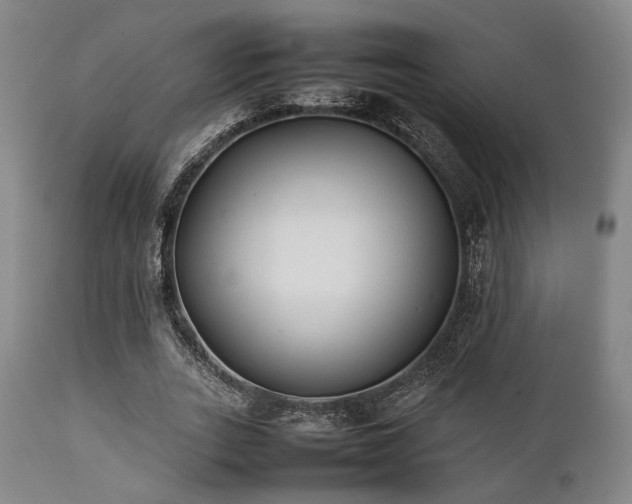 X0000112040727200908031516
