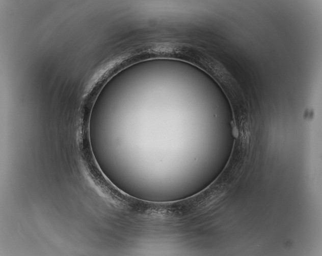 X0000112040728200908031516