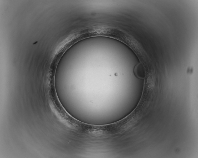 X0000112040730200908031516