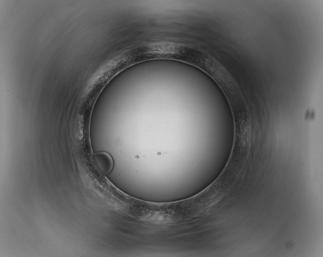 X0000112040731200908031516