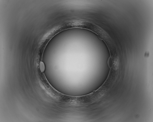 X0000112040732200908031516