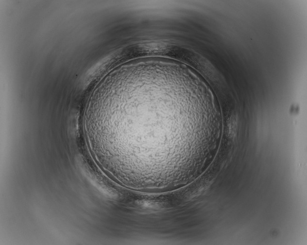 X0000112040733200908031516