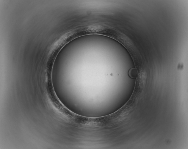 X0000112040734200908031516