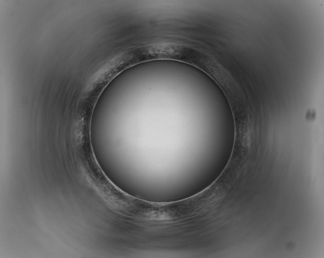 X0000112040735200908031516