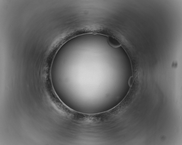 X0000112040736200908031516