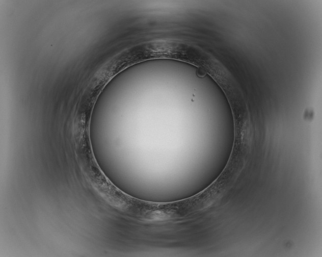 X0000112040737200908031516