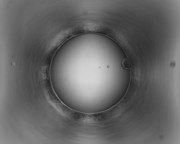 X0000112040738200908031516