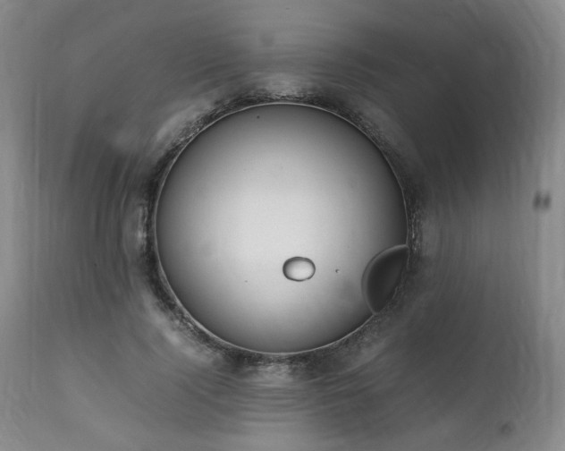 X0000112040740200908031516