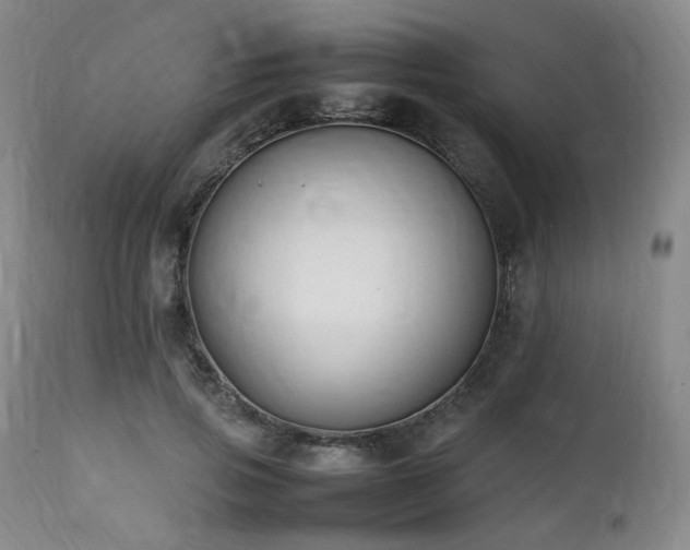 X0000112040741200908031516