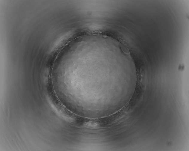 X0000112040742200908031516