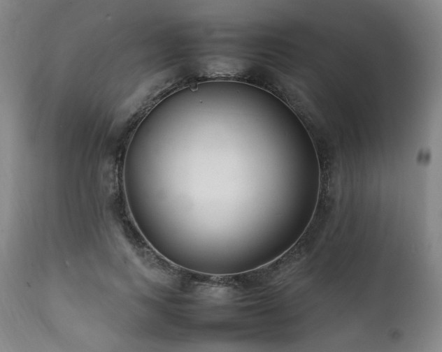 X0000112040743200908031516