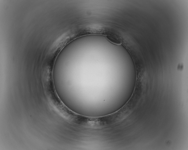 X0000112040744200908031516
