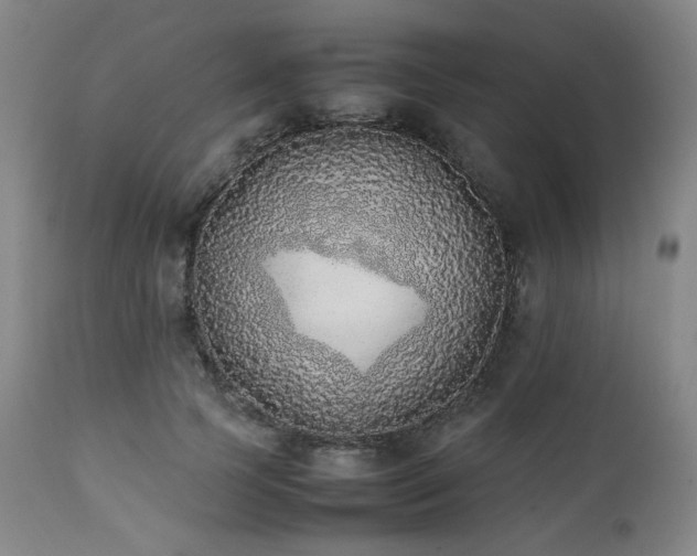 X0000112040745200908031516