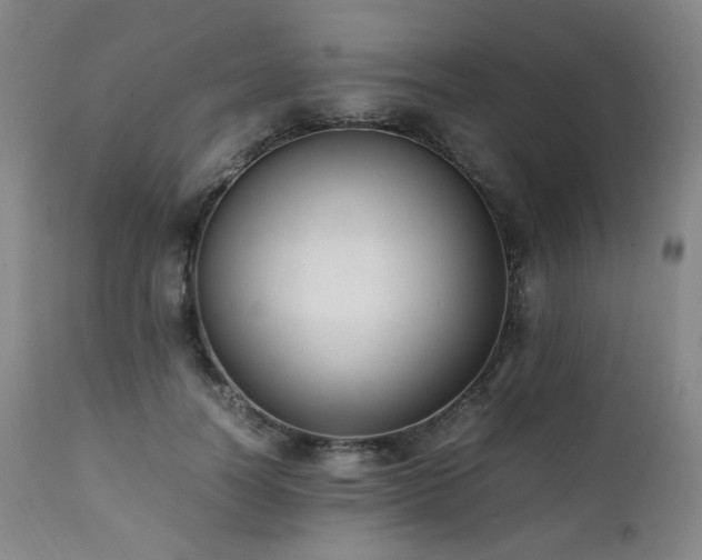 X0000112040746200908031516