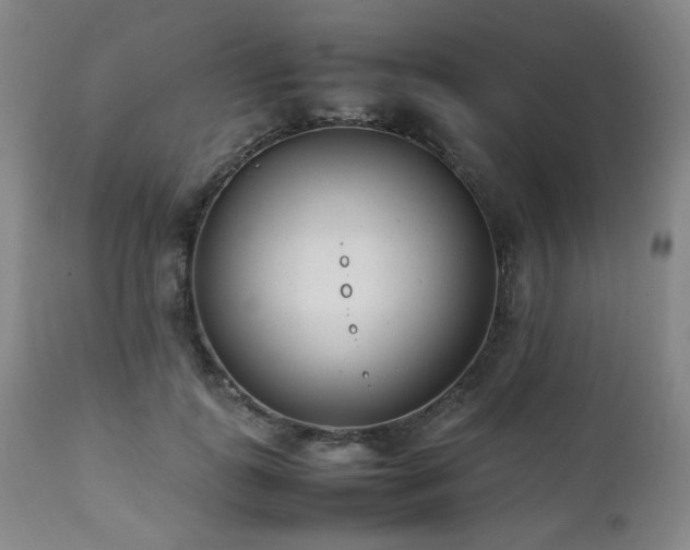 X0000112040747200908031516