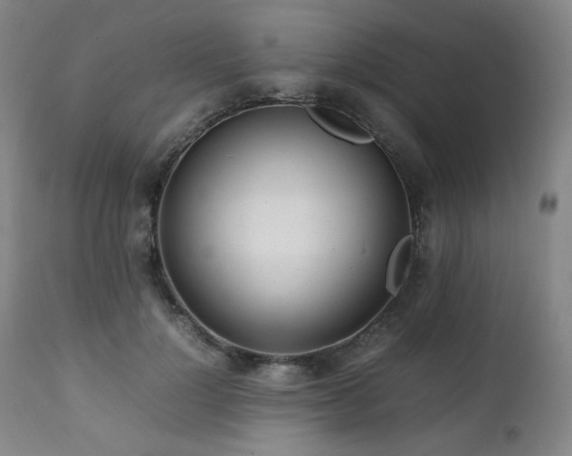 X0000112040748200908031516