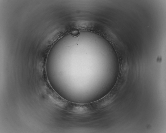 X0000112040749200908031516