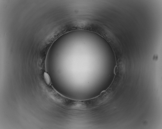 X0000112040750200908031516