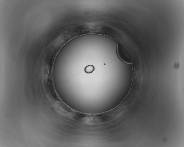 X0000112040752200908031516