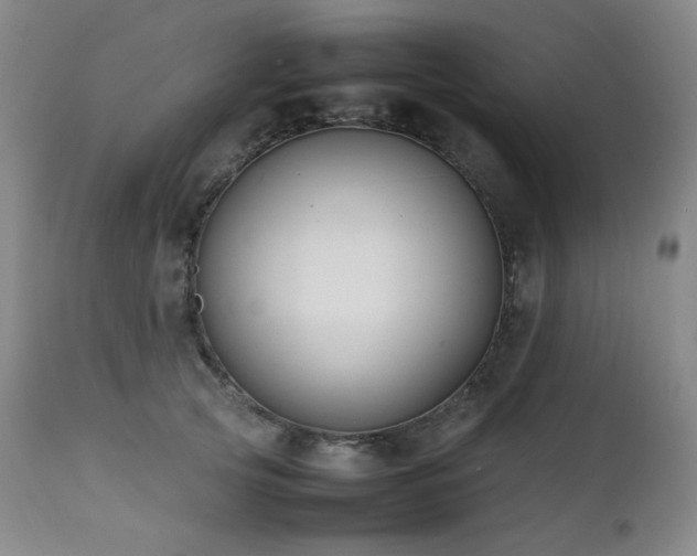 X0000112040753200908031516