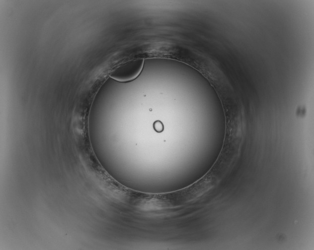 X0000112040755200908031516
