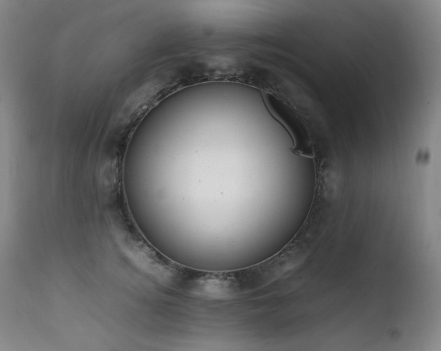 X0000112040756200908031516