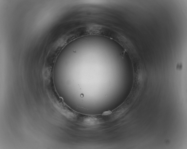 X0000112040759200908031516