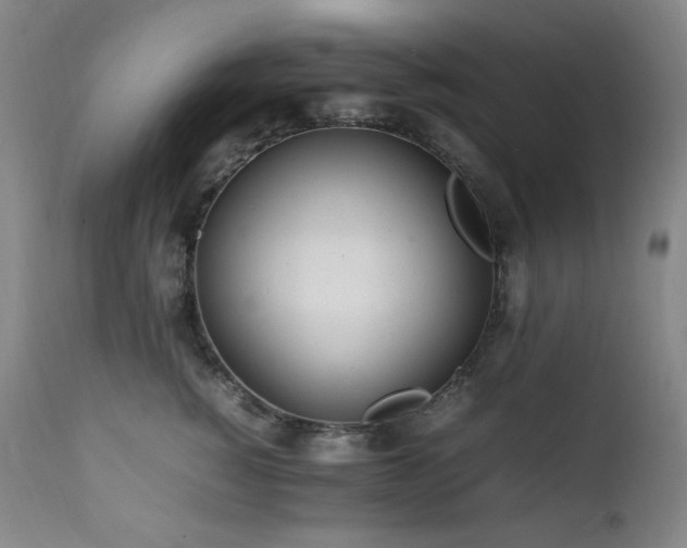 X0000112040760200908031516