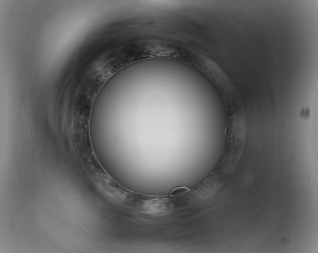 X0000112040761200908031516
