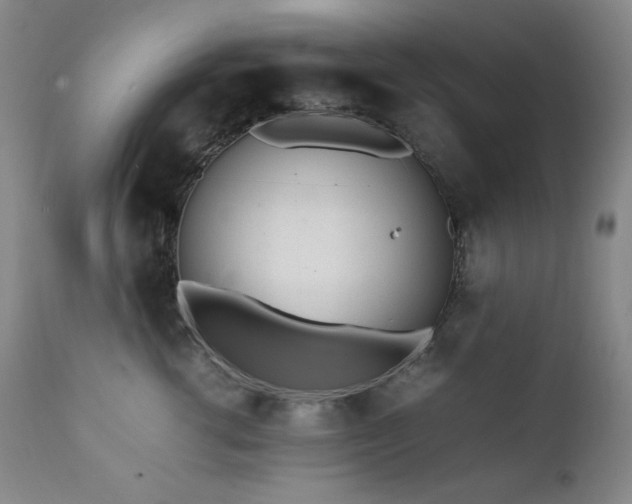 X0000112040762200908031516