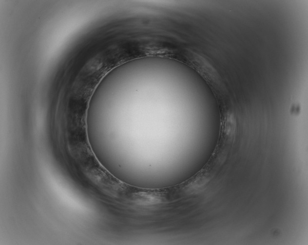 X0000112040763200908031516