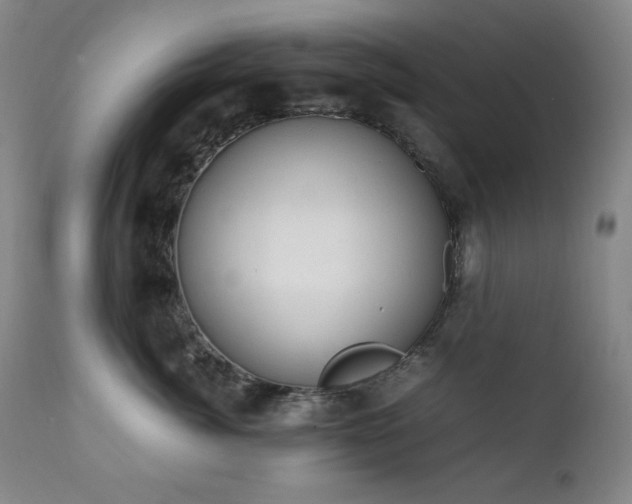 X0000112040764200908031516