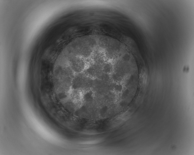 X0000112040765200908031516