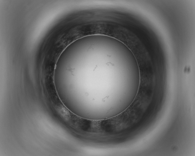 X0000112040766200908031516