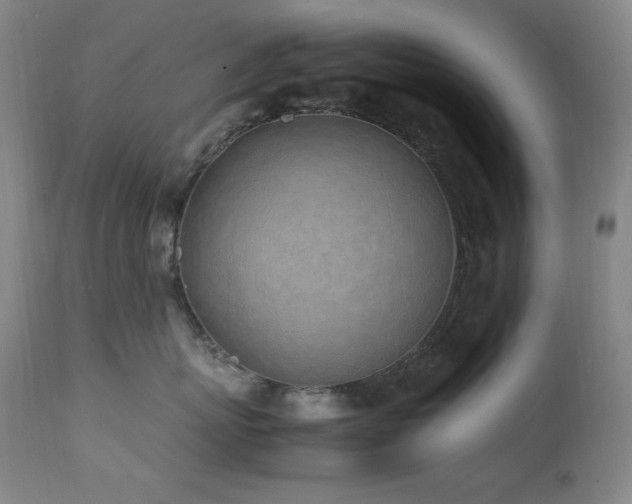 X0000112040767200908031516