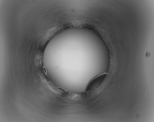 X0000112040768200908031516