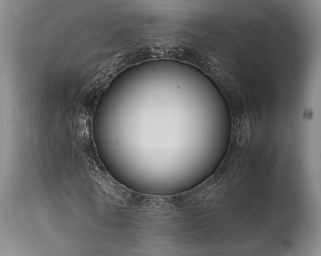 X0000112040770200908031516