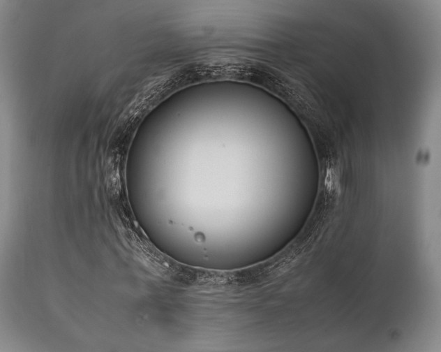 X0000112040771200908031516