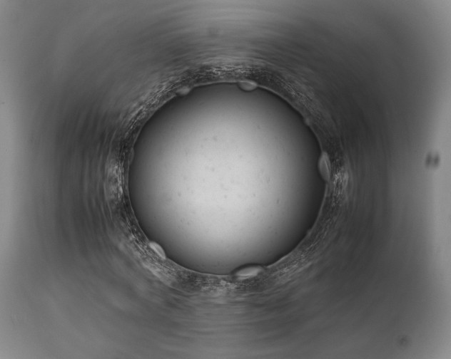 X0000112040772200908031516