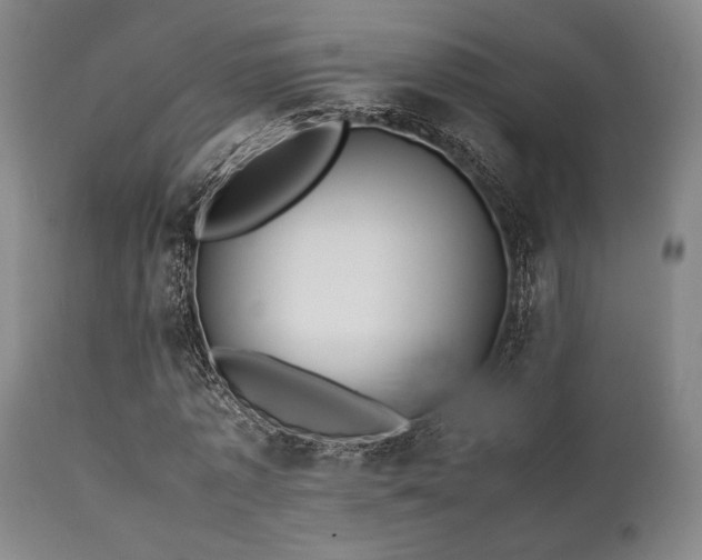 X0000112040773200908031516