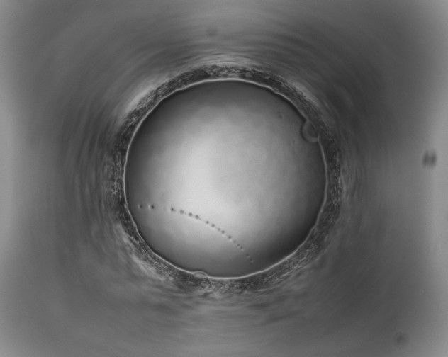 X0000112040775200908031516