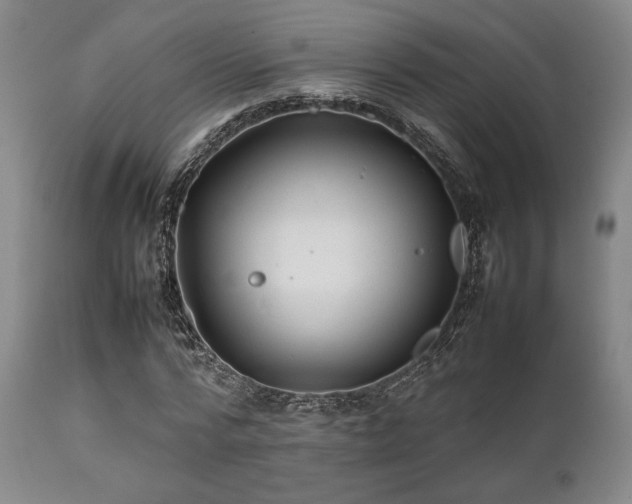 X0000112040776200908031516