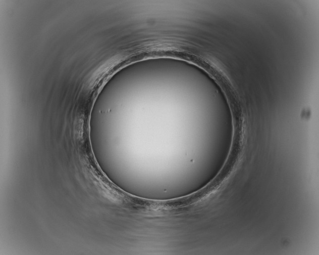 X0000112040777200908031515
