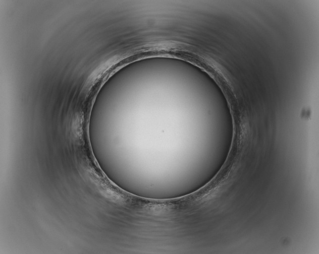 X0000112040778200908031515