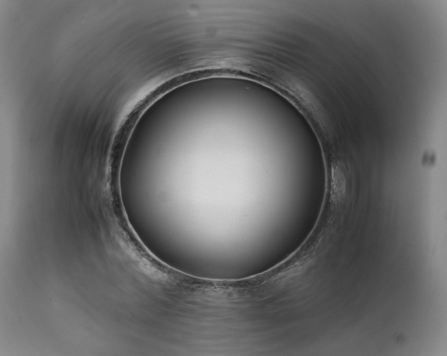 X0000112040780200908031515