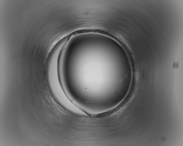 X0000112040781200908031515